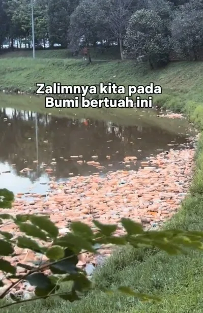 tasik 3