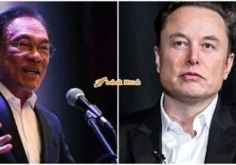 ft amwar tesla