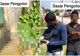 pengotor buang air besar