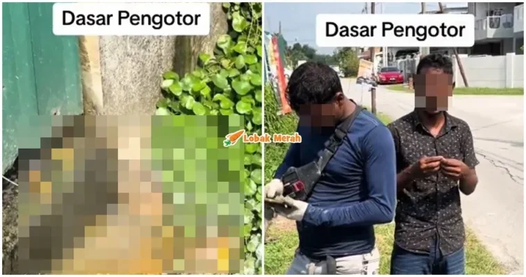 Pengotor Buang Air Besar