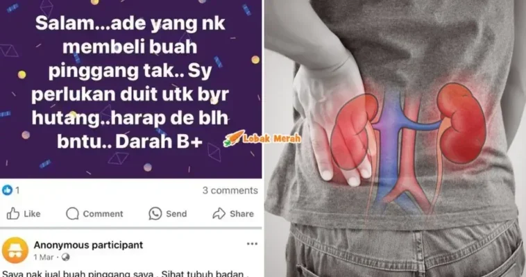 syaz ft 2024 08 08T163411.273