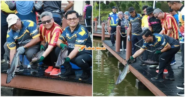 Mbsa Ikan Alien Tasik