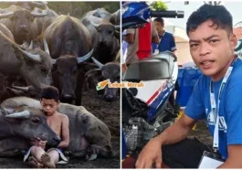 mowgli malaysia bengkel