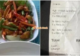 ayam goreng kunyit rm20