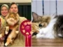 Kucing Malaysia Juara Dunia