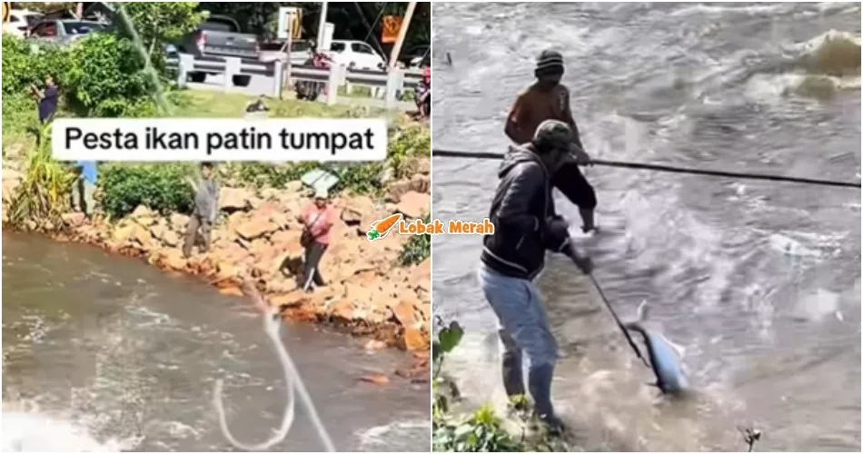 “Dalam musibah ada kebaikan” – Ramai Ambil Peluang Pancing Ikan, Pesta Ikan Patin Di Tumpat Meriah