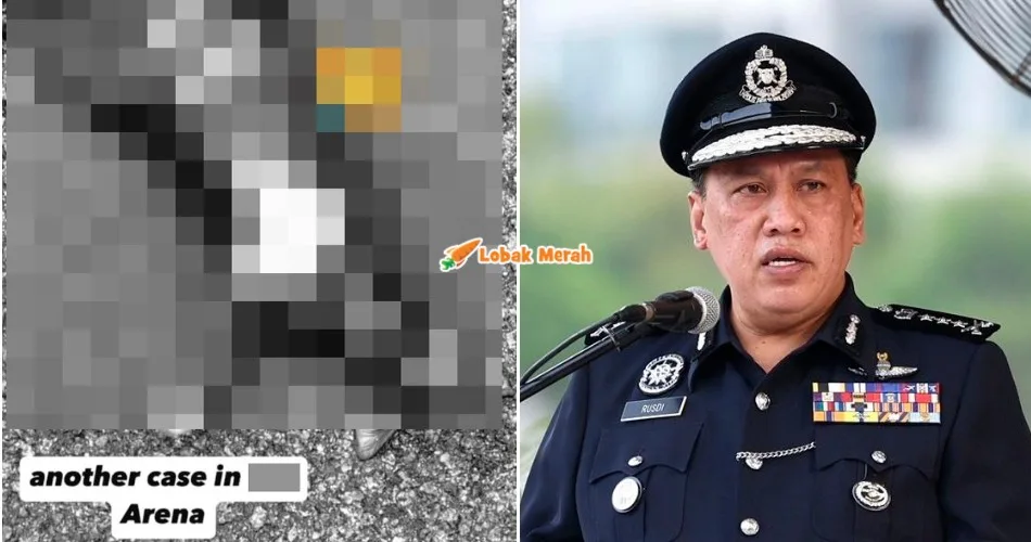 “Bangkai anjing pun ada” – Lepas 5 Ekor, Ada Lagi Bangkai Kucing Ditemui Di IPTA