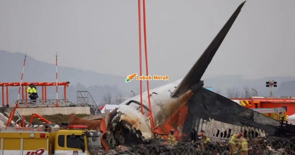 Nahas Jeju Air Mungkin Berpunca Dari ‘Birdstrike’, Penyiasat Temui Bulu Burung Dalam Enjin Pesawat