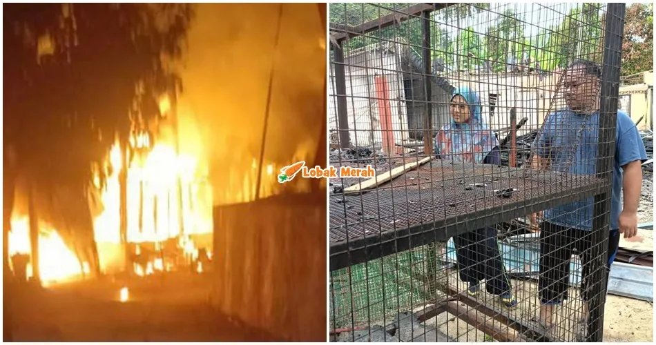 7 Kucing Kesayangan Mangsa Kebakaran Bersiri Di Baling Rent*ng