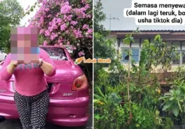 Syaz Ft 2025 01 28T115635.917