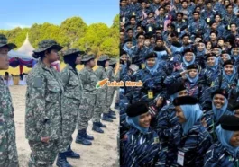 3plkn