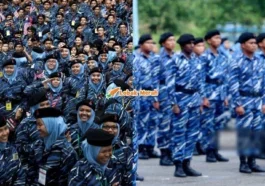 plkn 3.0