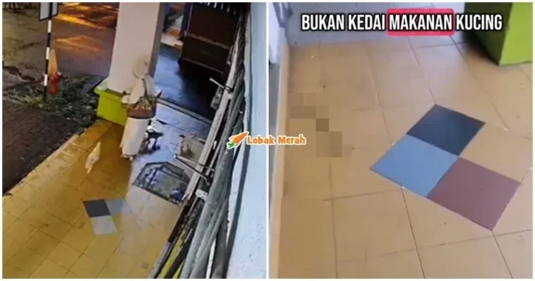 bagi makan kucing depan premis bau busuk