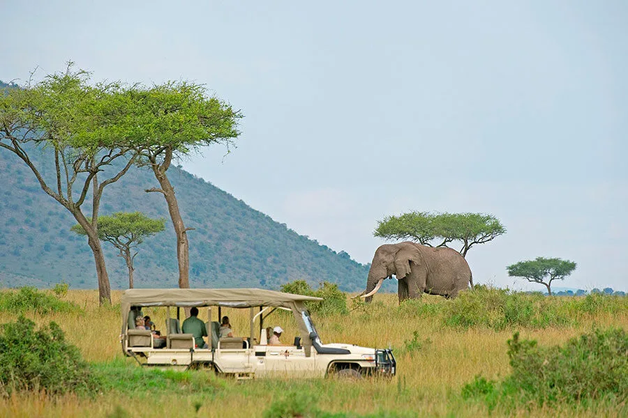 Masai Mara National reserve1