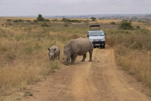 SAFARI NAIROBI