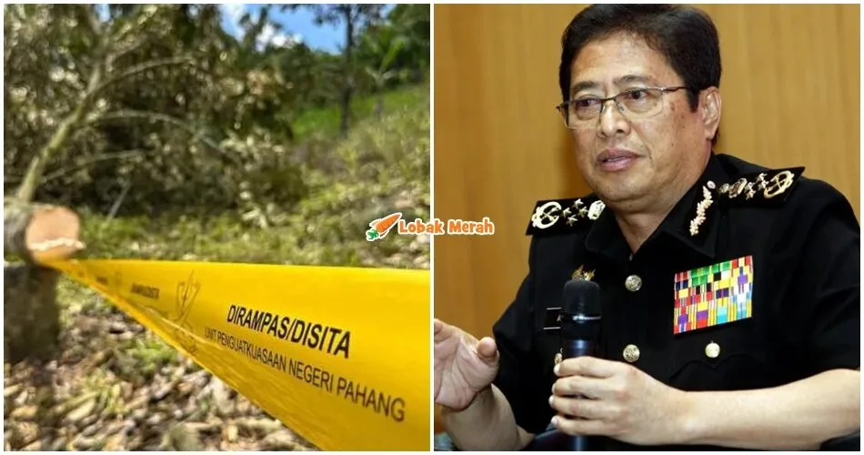 SPRM Sudah Ada Senarai Individu Kes Ceroboh Tanah Di Raub