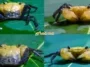 1ketam