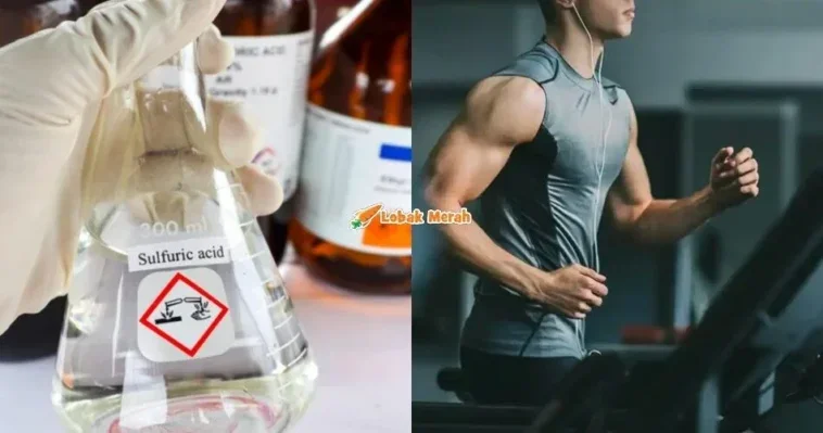 4gym