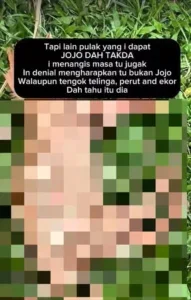 Screenshot 2025 05 27 143110