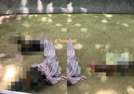 aktiviti pertaruhan sabung ayam