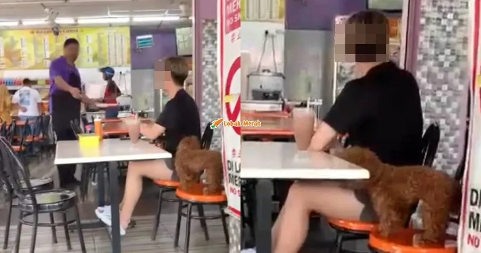 Polis Sedang Kesan Individu Bawa Anjing Ke Restoran Mamak
