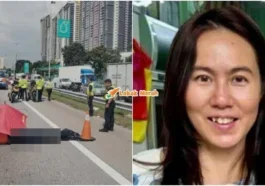 bukan pamela ling