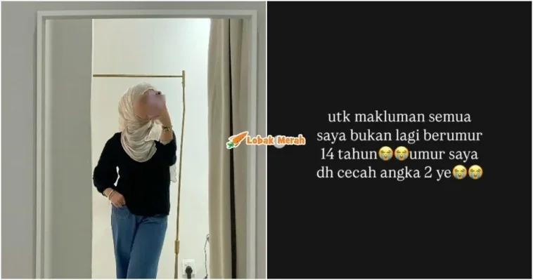 bukan tean wanita ceo batu