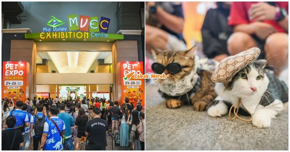 Pencinta Haiwan, Jangan Lepaskan Peluang Untuk Ke Pet Expo Terbesar Di M’sia 30 Mei Hingga 2 Jun Ini!