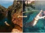 collage 4