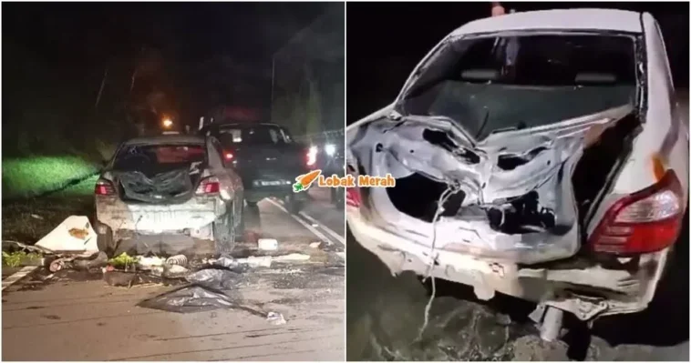 gajah mengamuk di gerik hentak kereta mangsa selamatkan diri