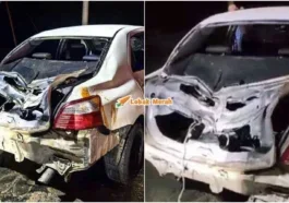 gajah naik minyak rosakkan kereta