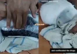 guna kucing seludup dadah