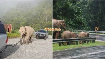jalan gerik jeli tak dipasang lampu