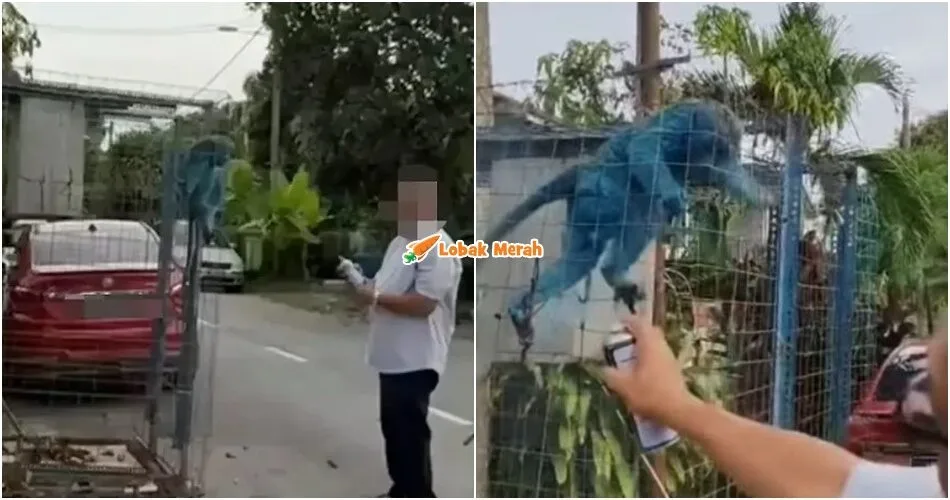Mahu Halau & Takutkan Monyet Lain Jadi Alasan Lelaki Tular Sembur Cat