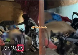 pakcik tinggal sendirian netizen sebak1