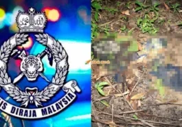 tulang dipercayai rangka manusia ditemui
