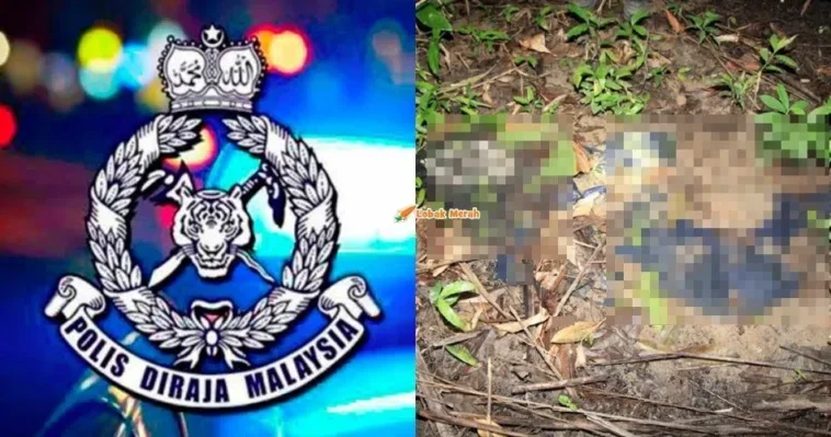 tulang dipercayai rangka manusia ditemui