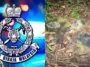 tulang dipercayai rangka manusia ditemui