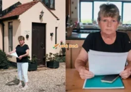 Bil Elektrik