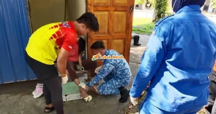 Dipatuk Ular