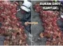 ft daging korban terbuang