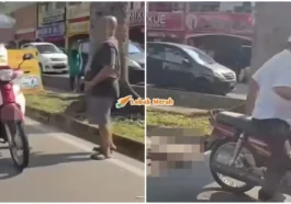 ft warga emas anjing