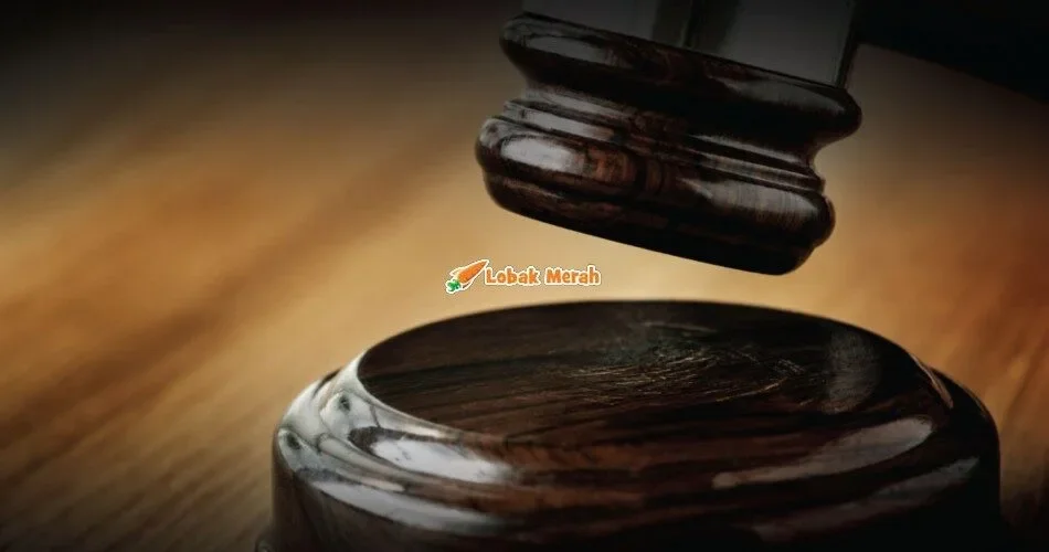 Simpan Tengkorak Haiwan Liar Tanpa Permit, Pemilik Muzium Seni Didenda RM300,000