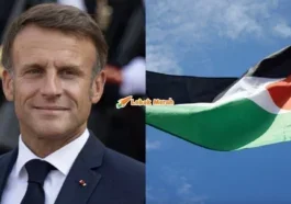 4palestin