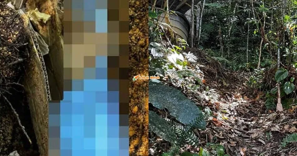 Remaja Lelaki Tanam Bayi Baru Lahir Untuk Sembunyikan Hubungan Terlarang Dengan Kakak Tiri