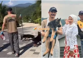 bonda rozita bela anjing