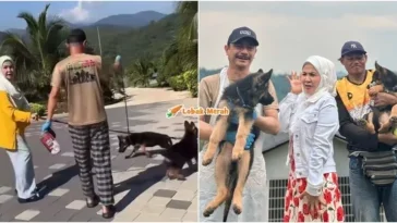 bonda rozita bela anjing
