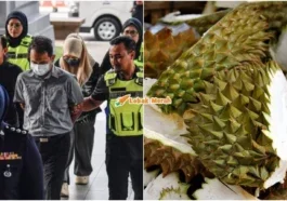 dera kulit durian