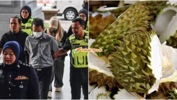 dera kulit durian