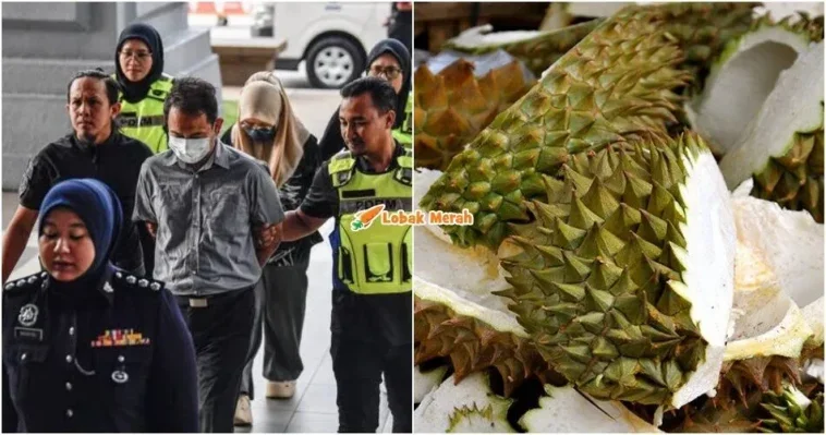 dera kulit durian